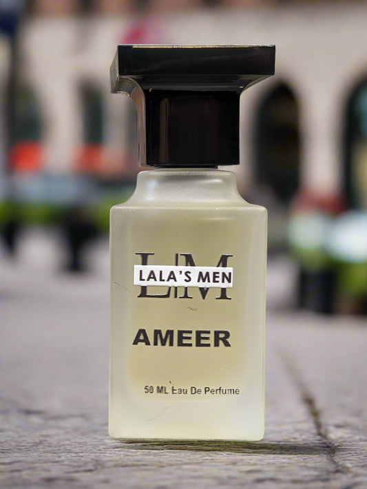 AMEER